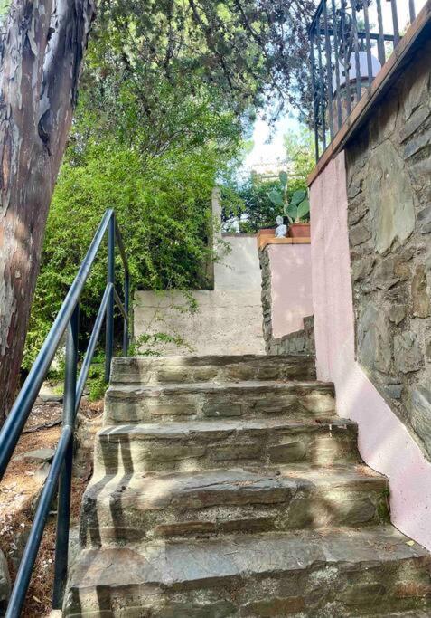 Charmante Maison En Plein Coeur De Collioure Villa Exterior foto